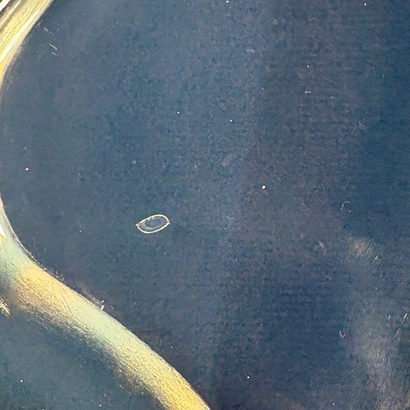 Fry Glass Ovenware Meat Tray Tree and Well Pattern‎ 15" Rare No Feet - Picture 6 of 7